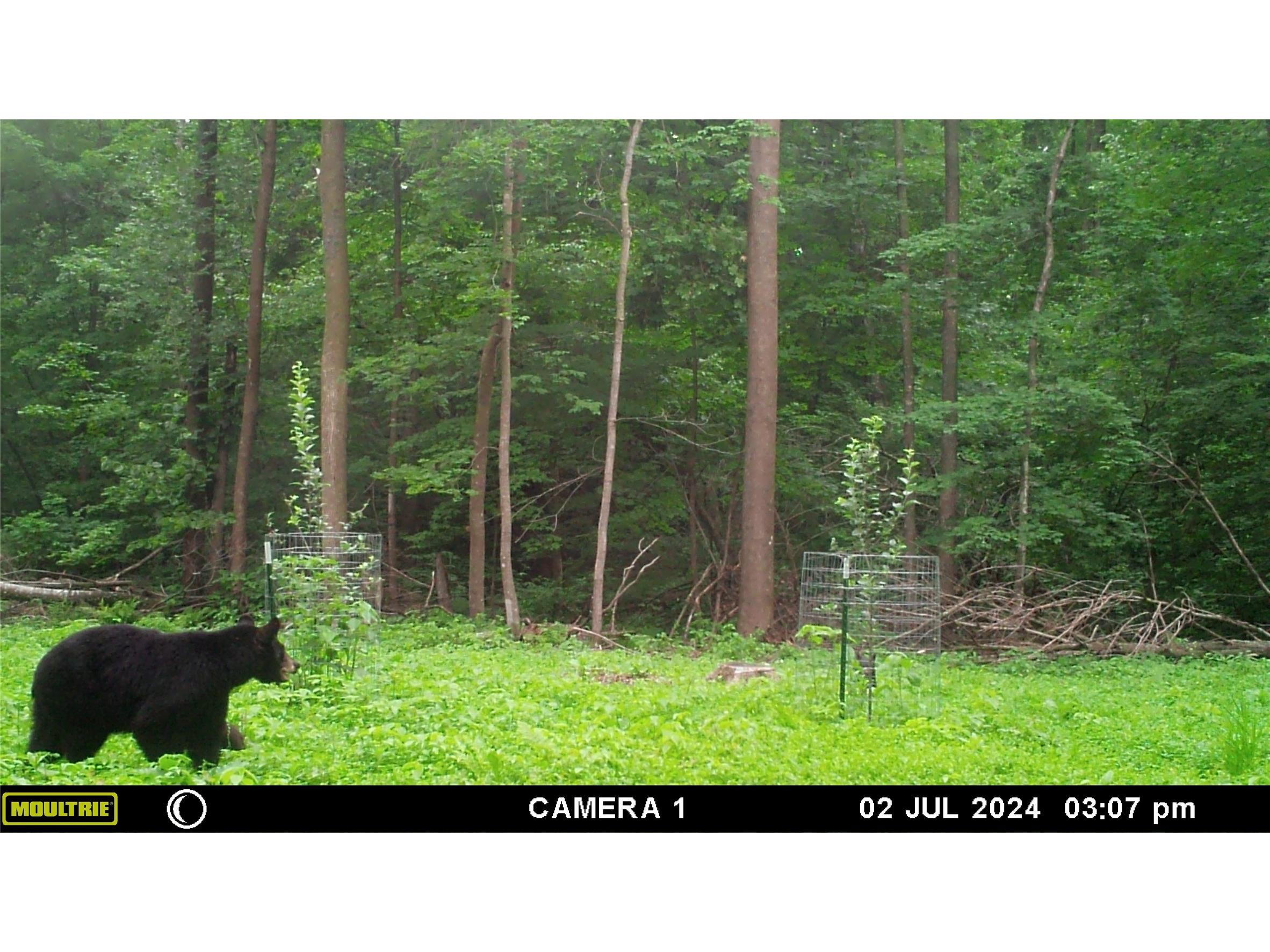 2339 150th 150th Street Luck WI 54853 1600002 image32
