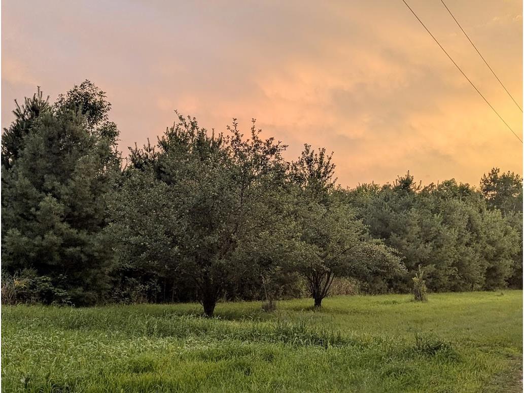 23443 75th Street New Auburn WI 54757 1599694 image38