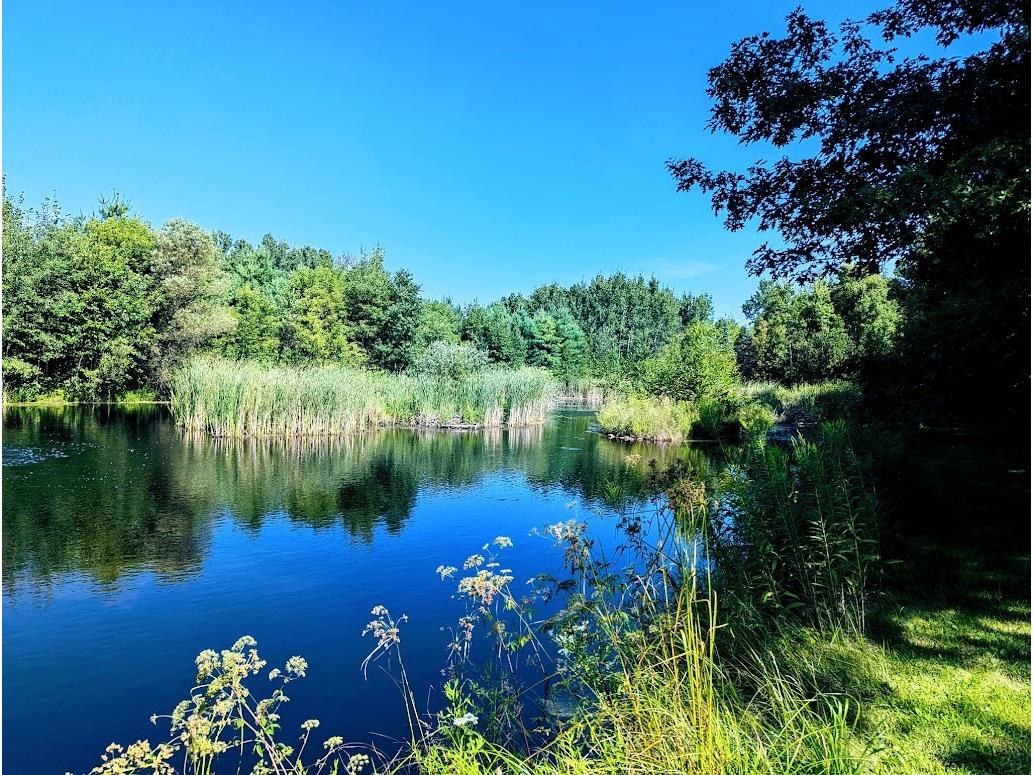 23443 75th Street New Auburn WI 54757 1599694 image39