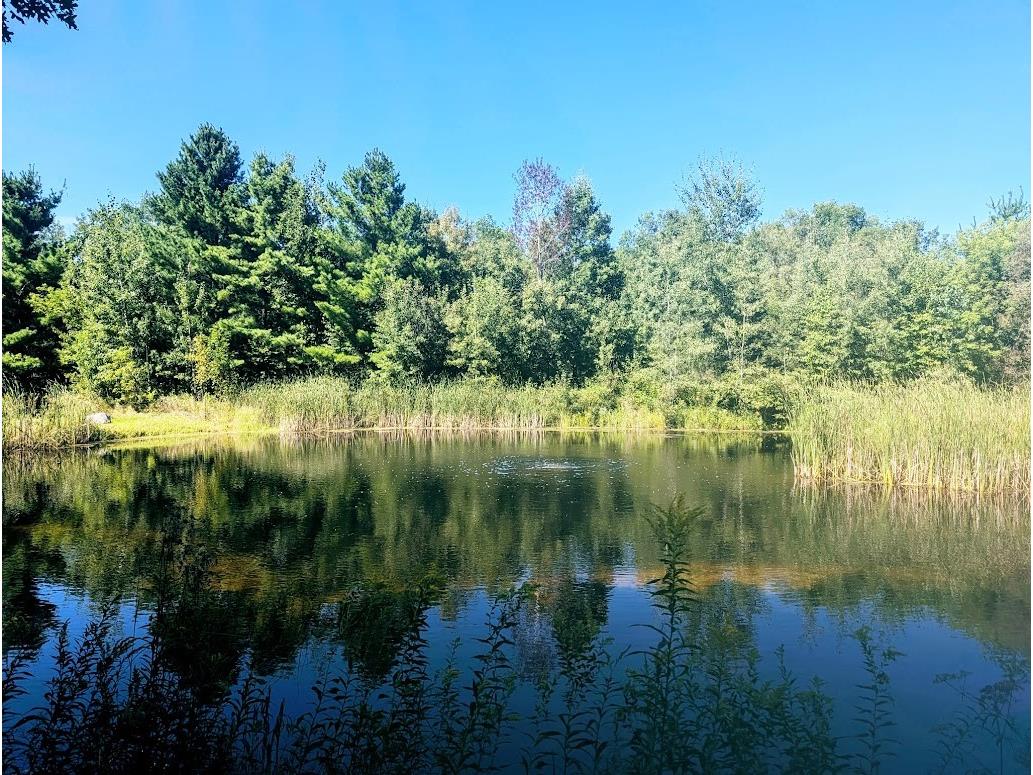 23443 75th Street New Auburn WI 54757 1599694 image40