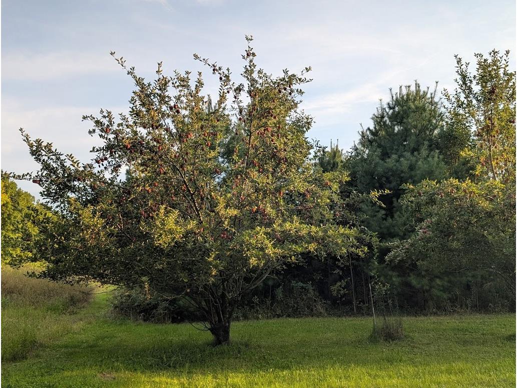 23443 75th Street New Auburn WI 54757 1599694 image42