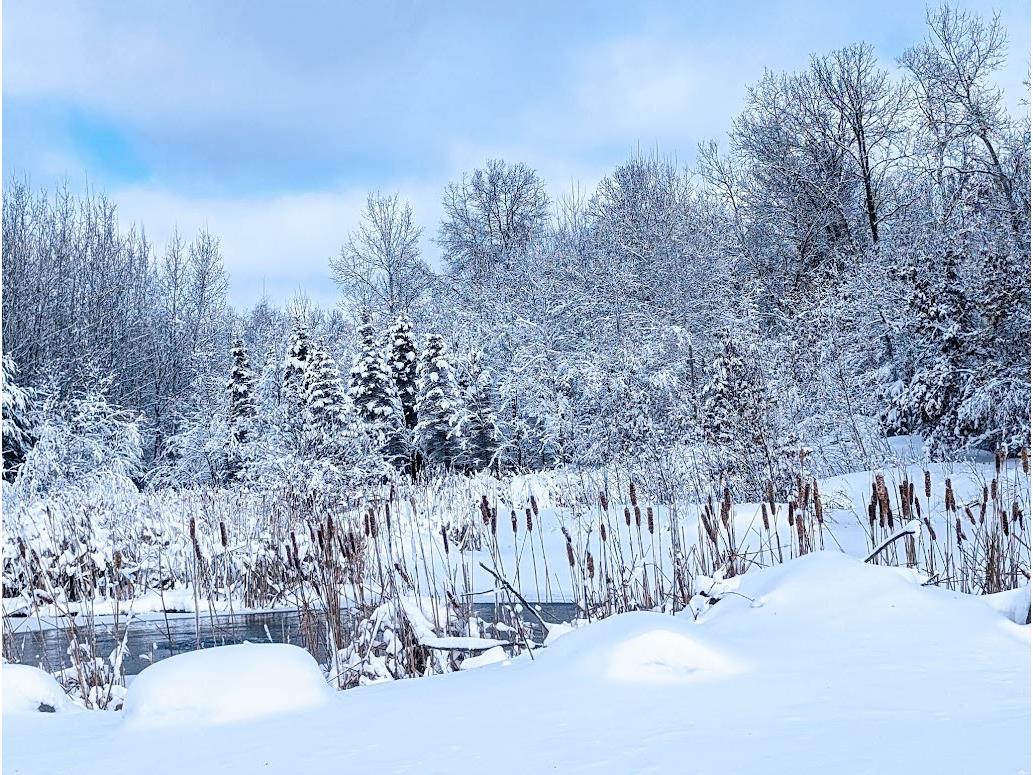 23443 75th Street New Auburn WI 54757 1599694 image46