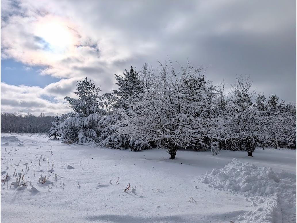 23443 75th Street New Auburn WI 54757 1599694 image47