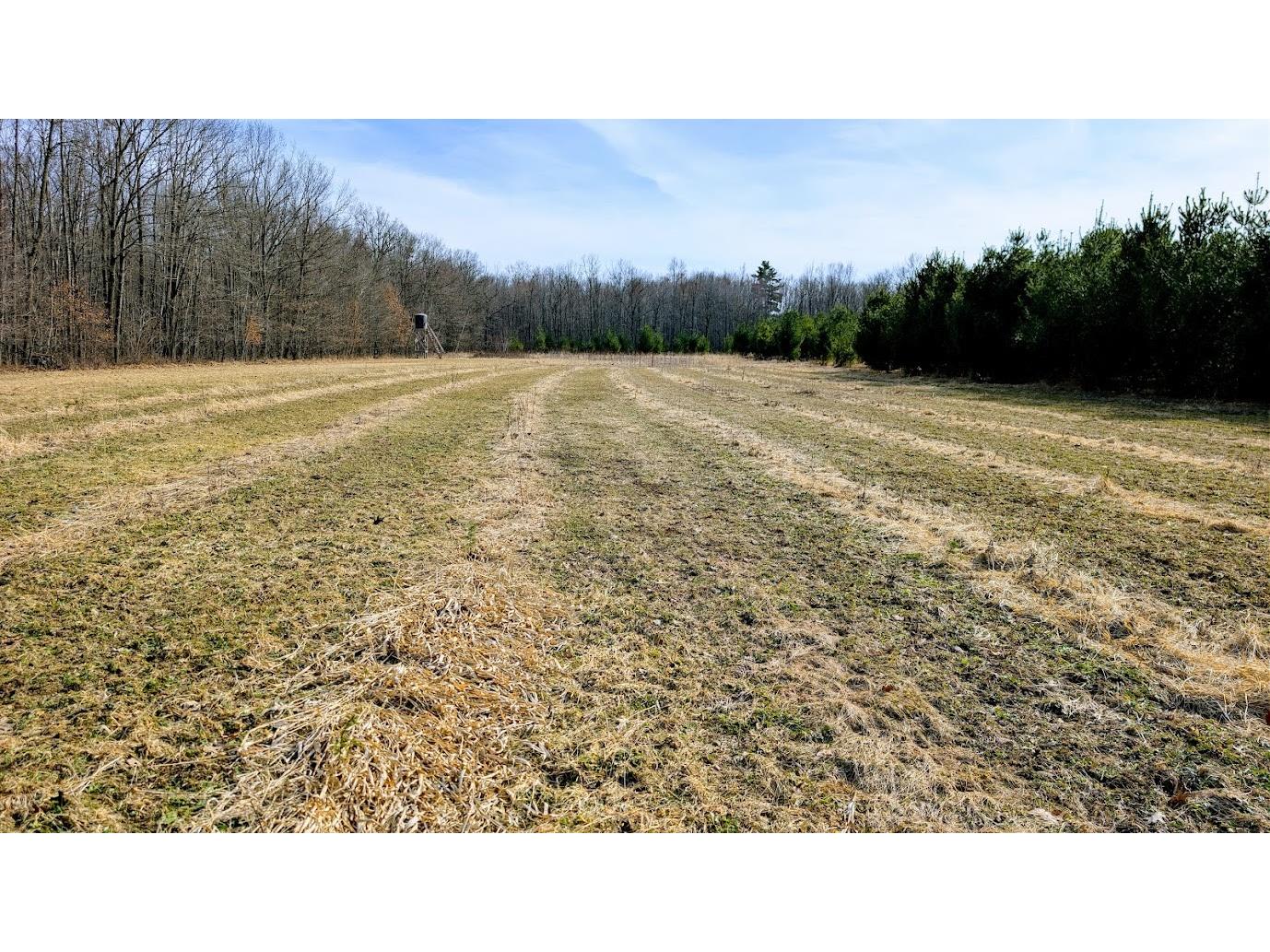 23443 75th Street New Auburn WI 54757 1599694 image48