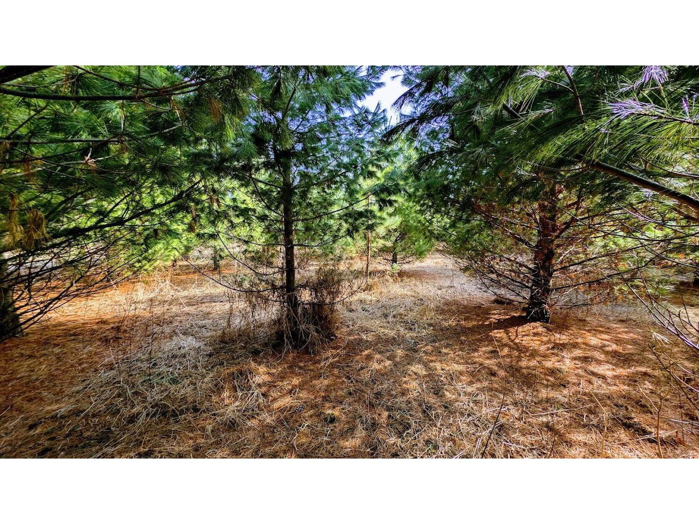 23443 75th Street New Auburn WI 54757 1599694 image49