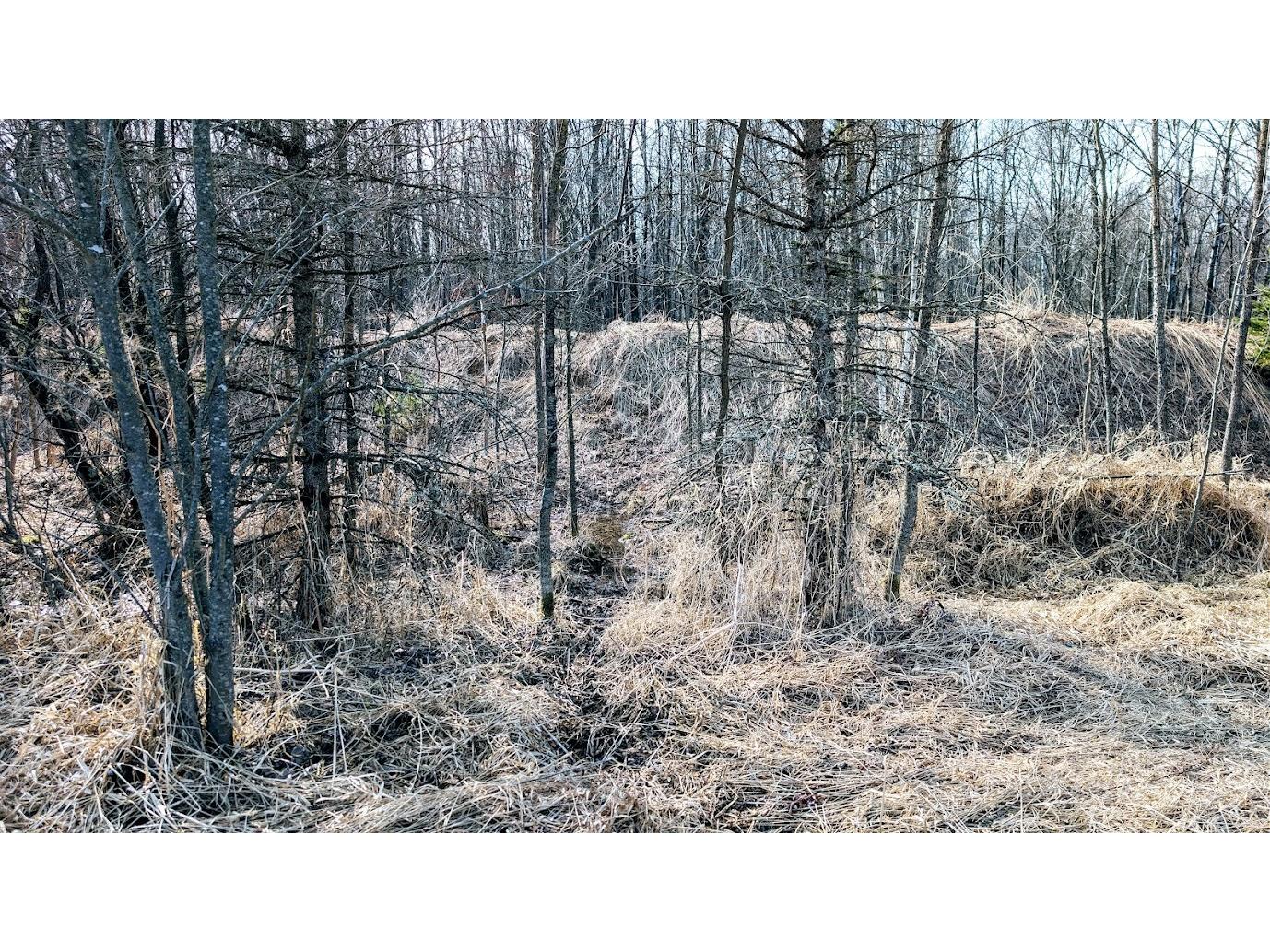 23443 75th Street New Auburn WI 54757 1599694 image51