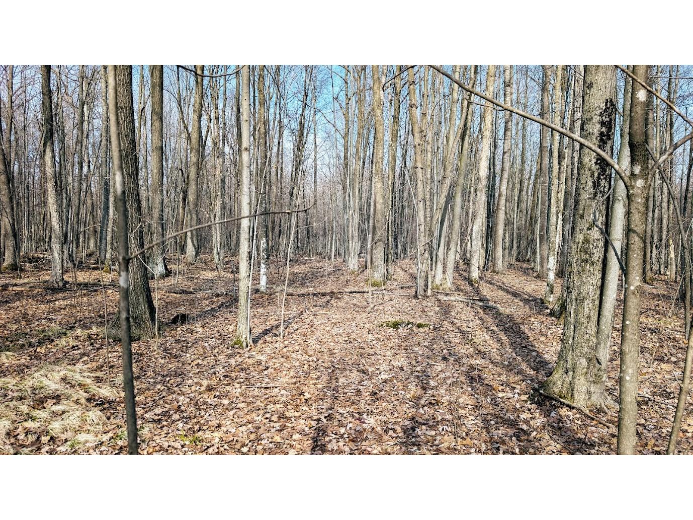 23443 75th Street New Auburn WI 54757 1599694 image54