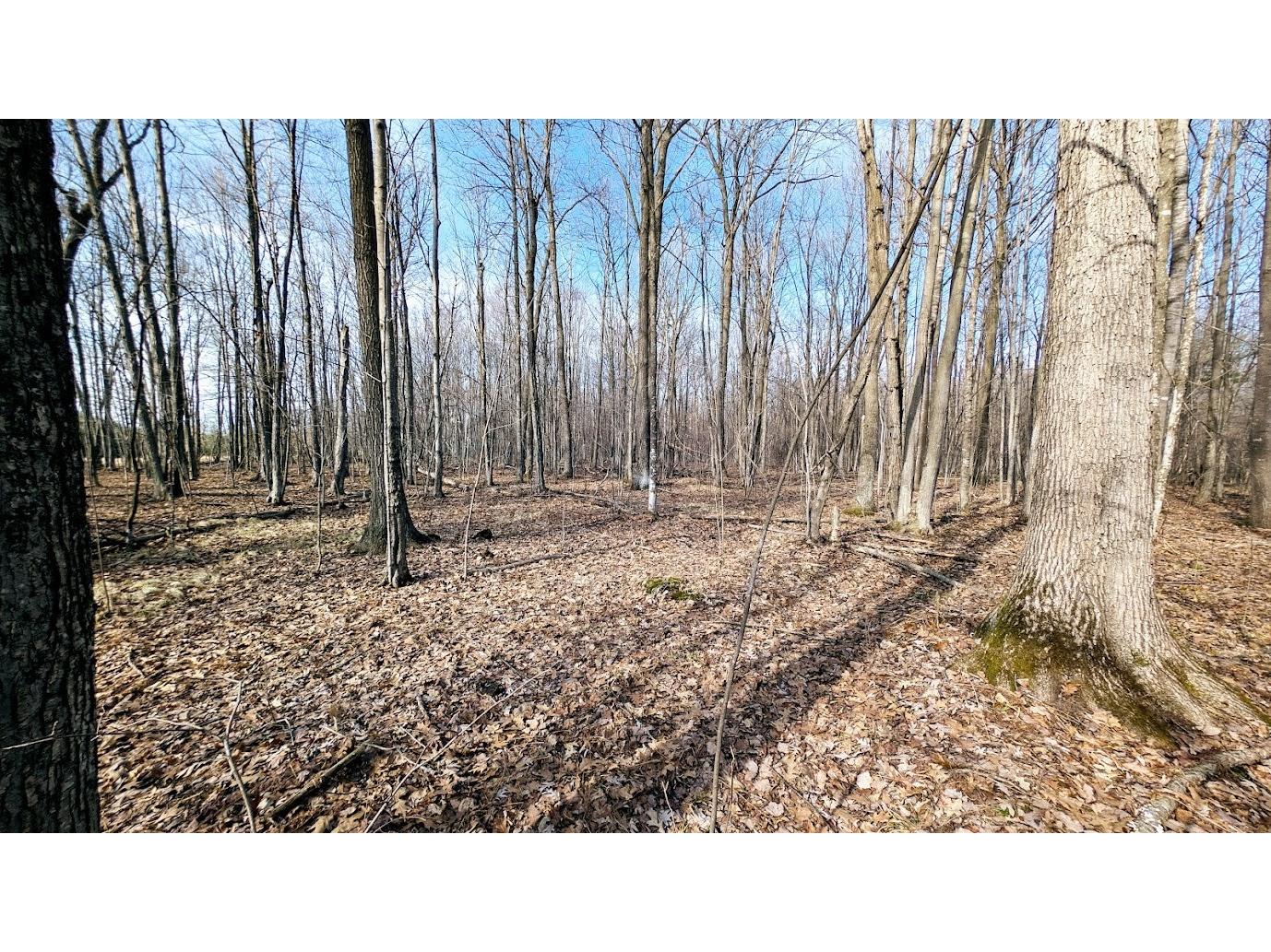 23443 75th Street New Auburn WI 54757 1599694 image55