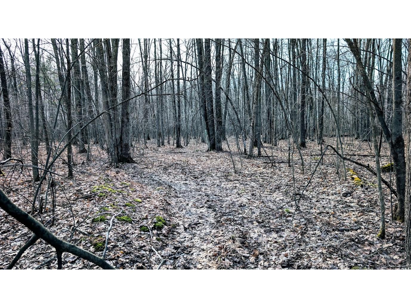 23443 75th Street New Auburn WI 54757 1599694 image56