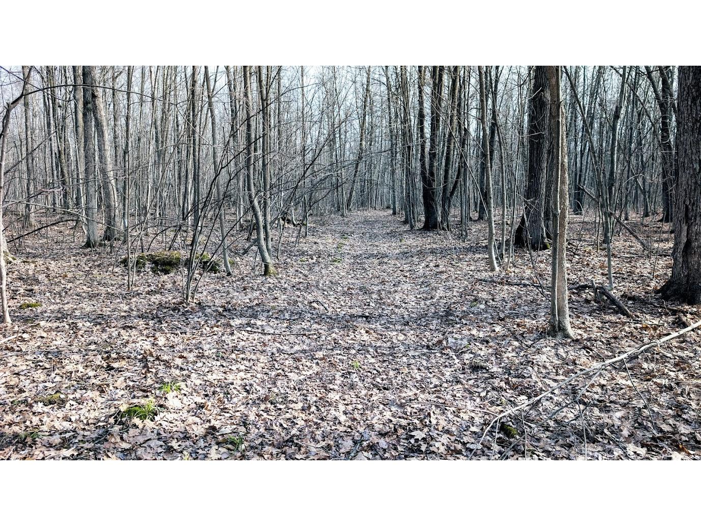 23443 75th Street New Auburn WI 54757 1599694 image57