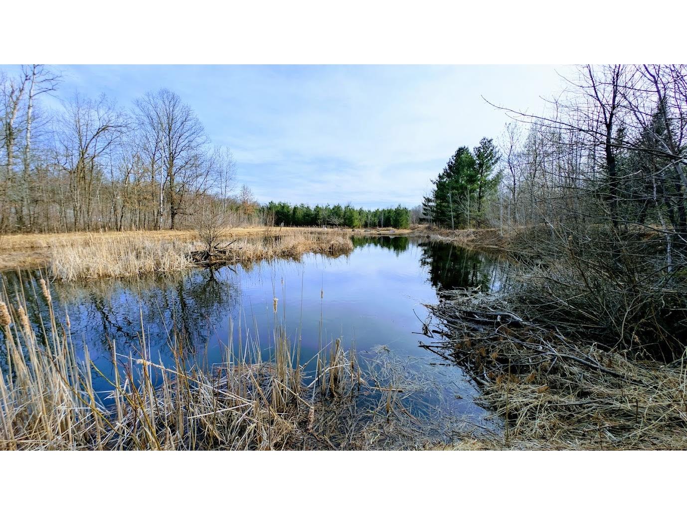 23443 75th Street New Auburn WI 54757 1599694 image59