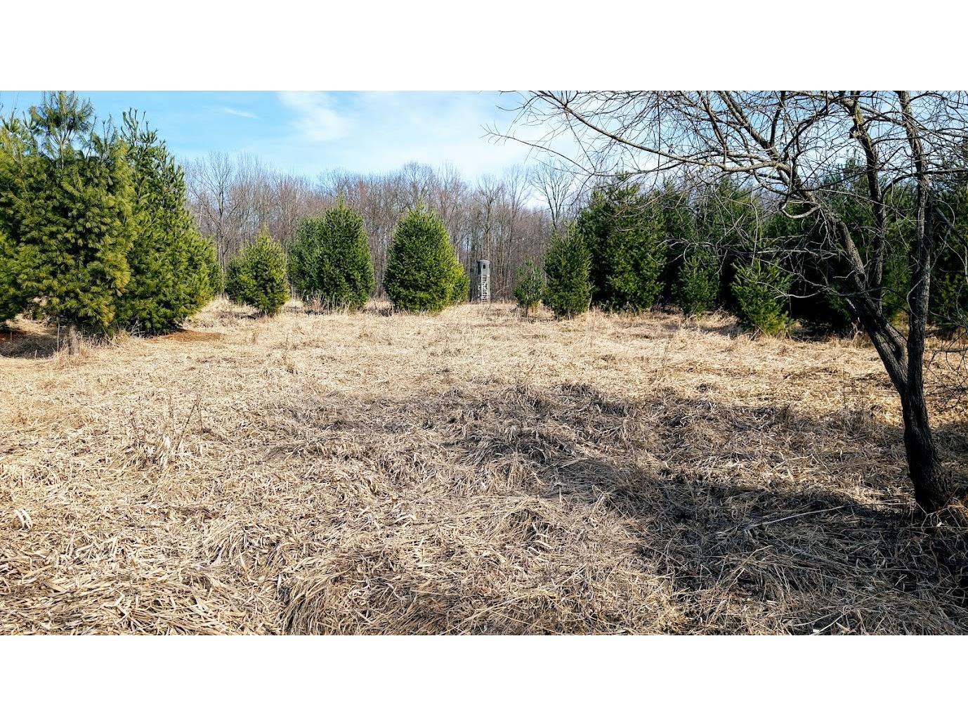 23443 75th Street New Auburn WI 54757 1601277 image37