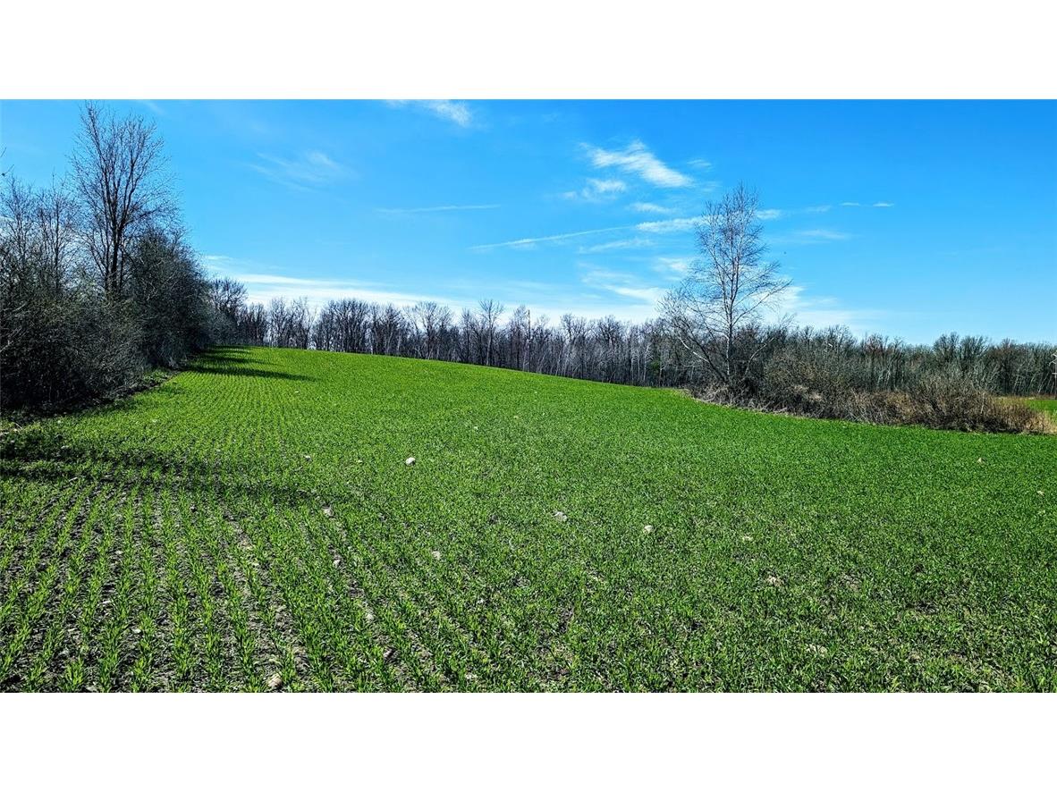 23457 County Hwy F New Auburn WI 54724 1591292 image1