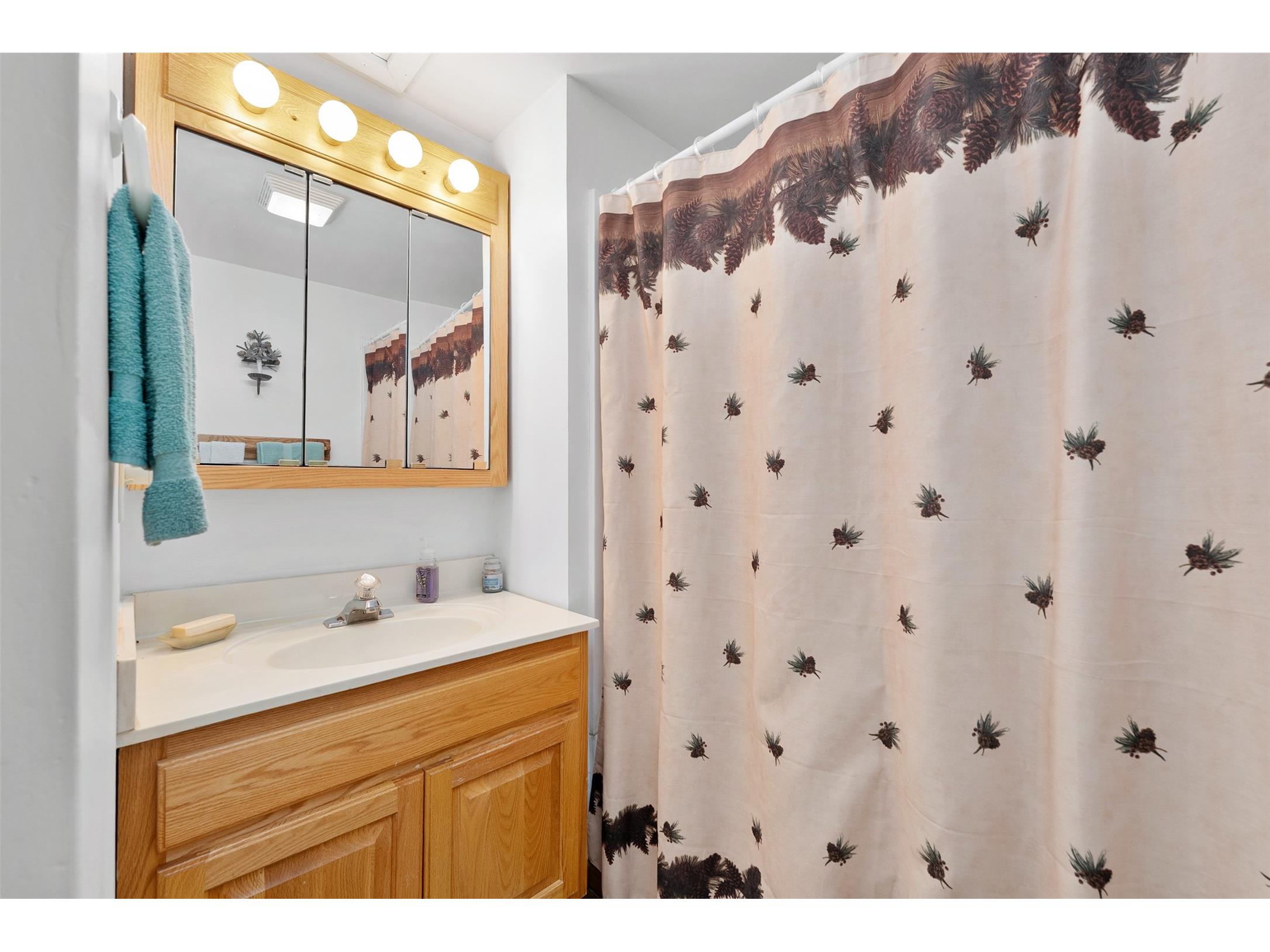 23522 110th Street Bloomer WI 54724 1602075 image29