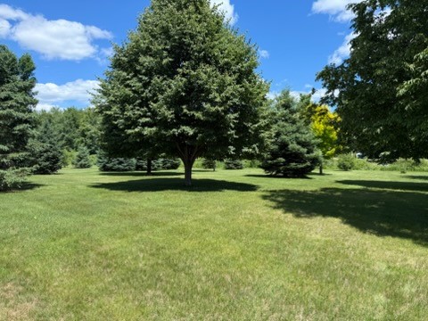 23745 County Road M Grantsburg WI 54840 1602636 image36
