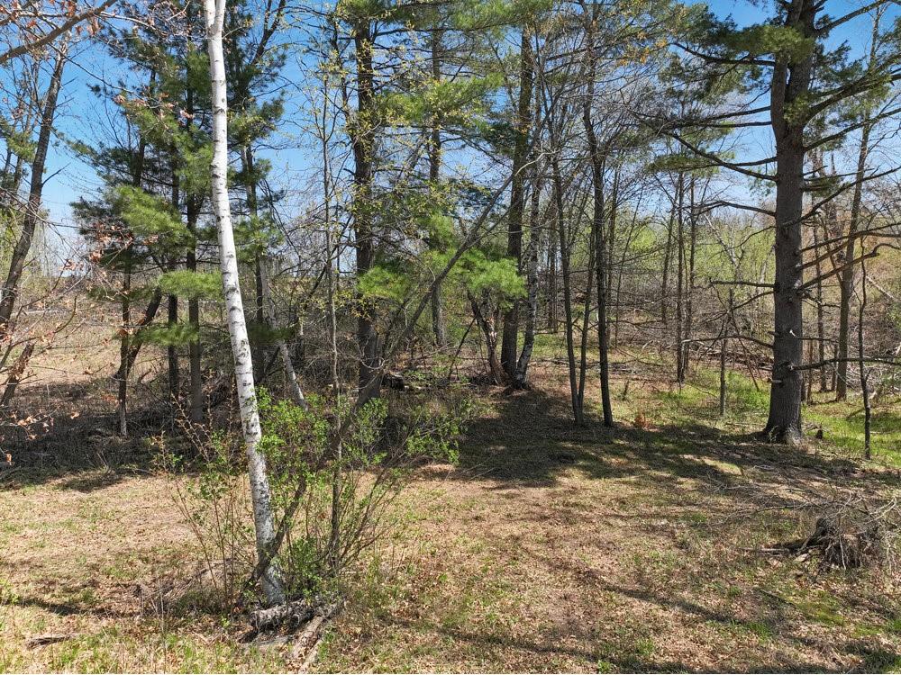 2376 10 7/8 Avenue Cameron WI 54822 - Prairie 1598386 image18