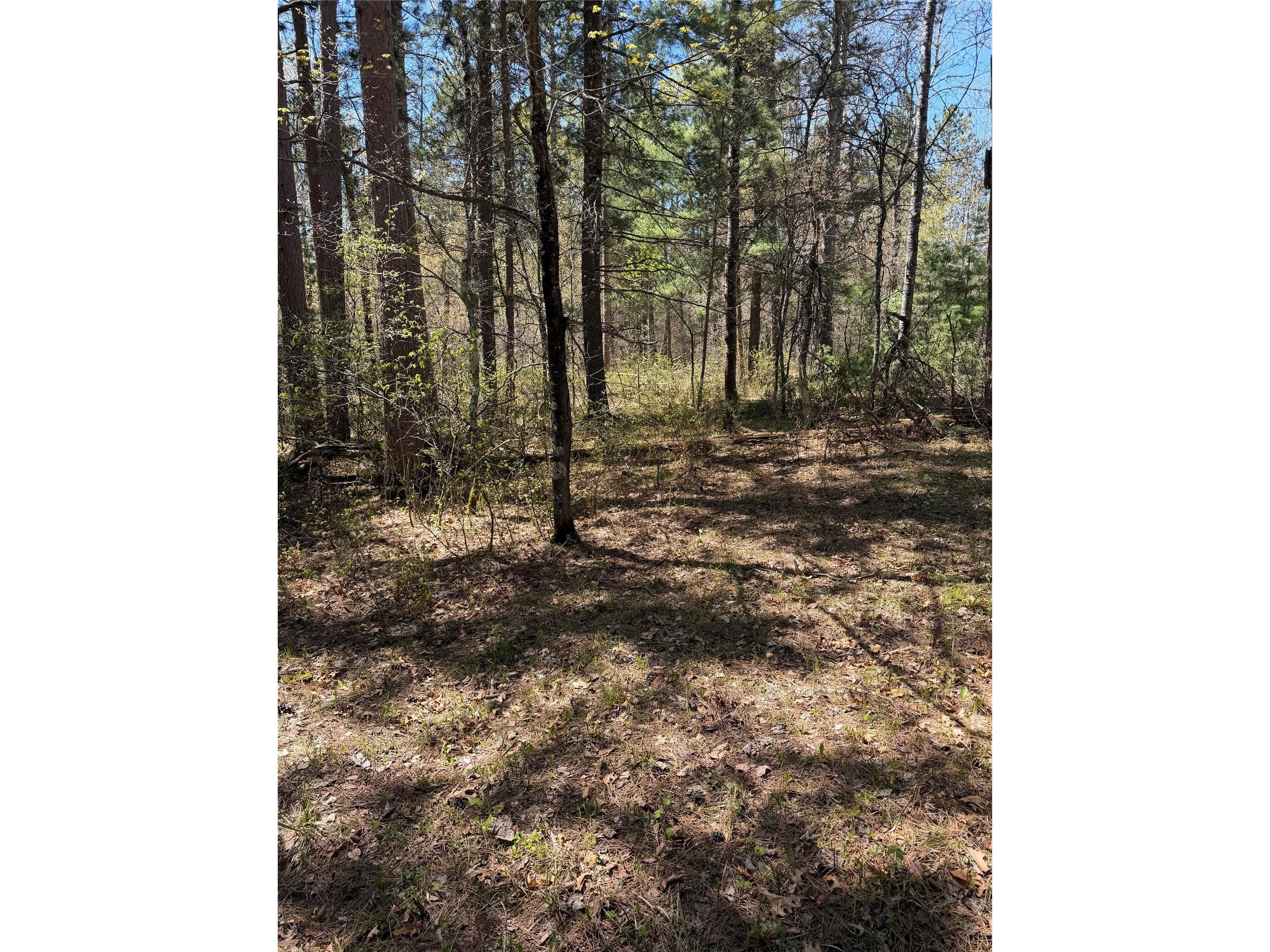 2395 Island Lake Road Barnes WI 54873 1601454 image10