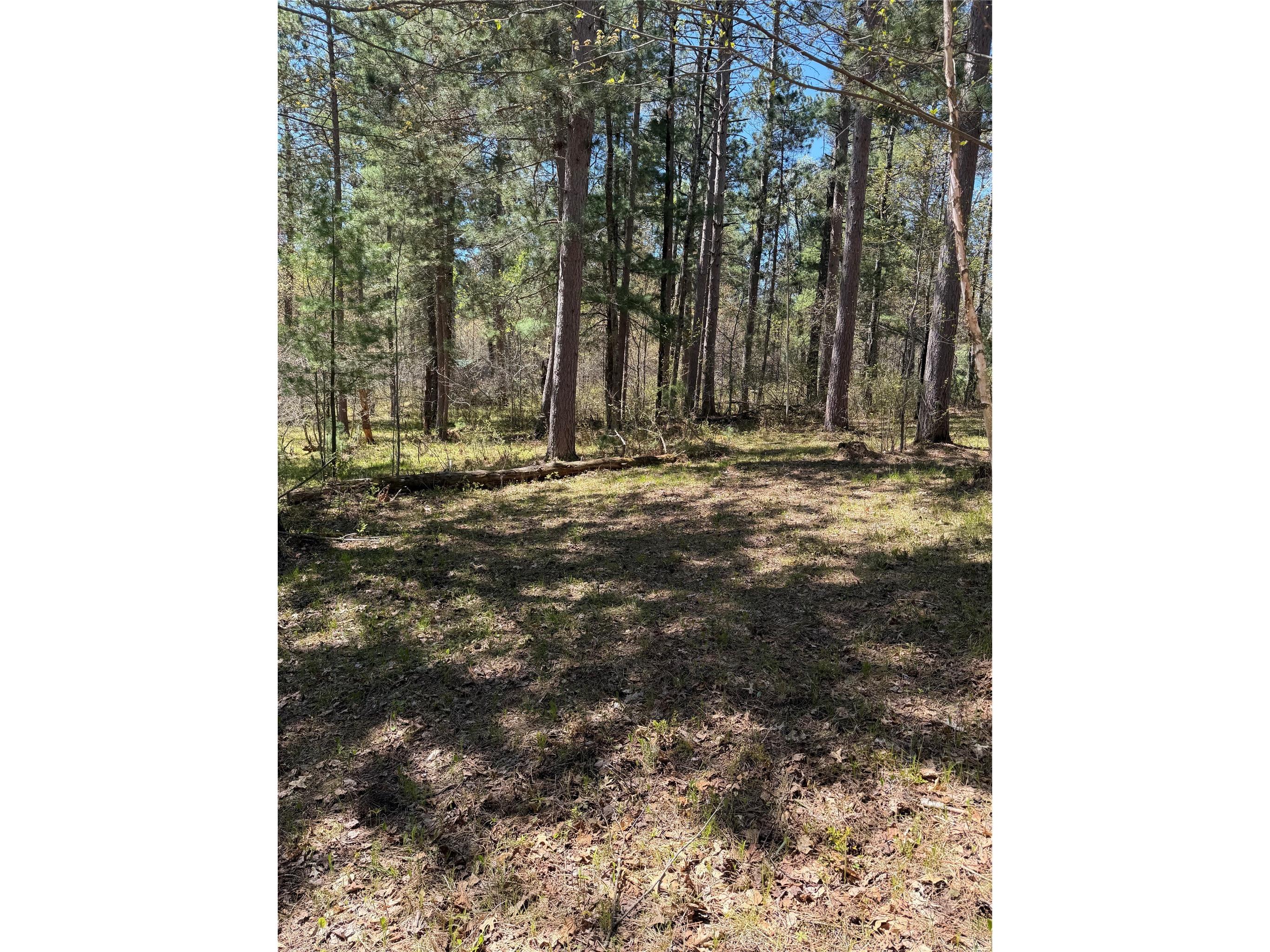 2395 Island Lake Road Barnes WI 54873 1601454 image14