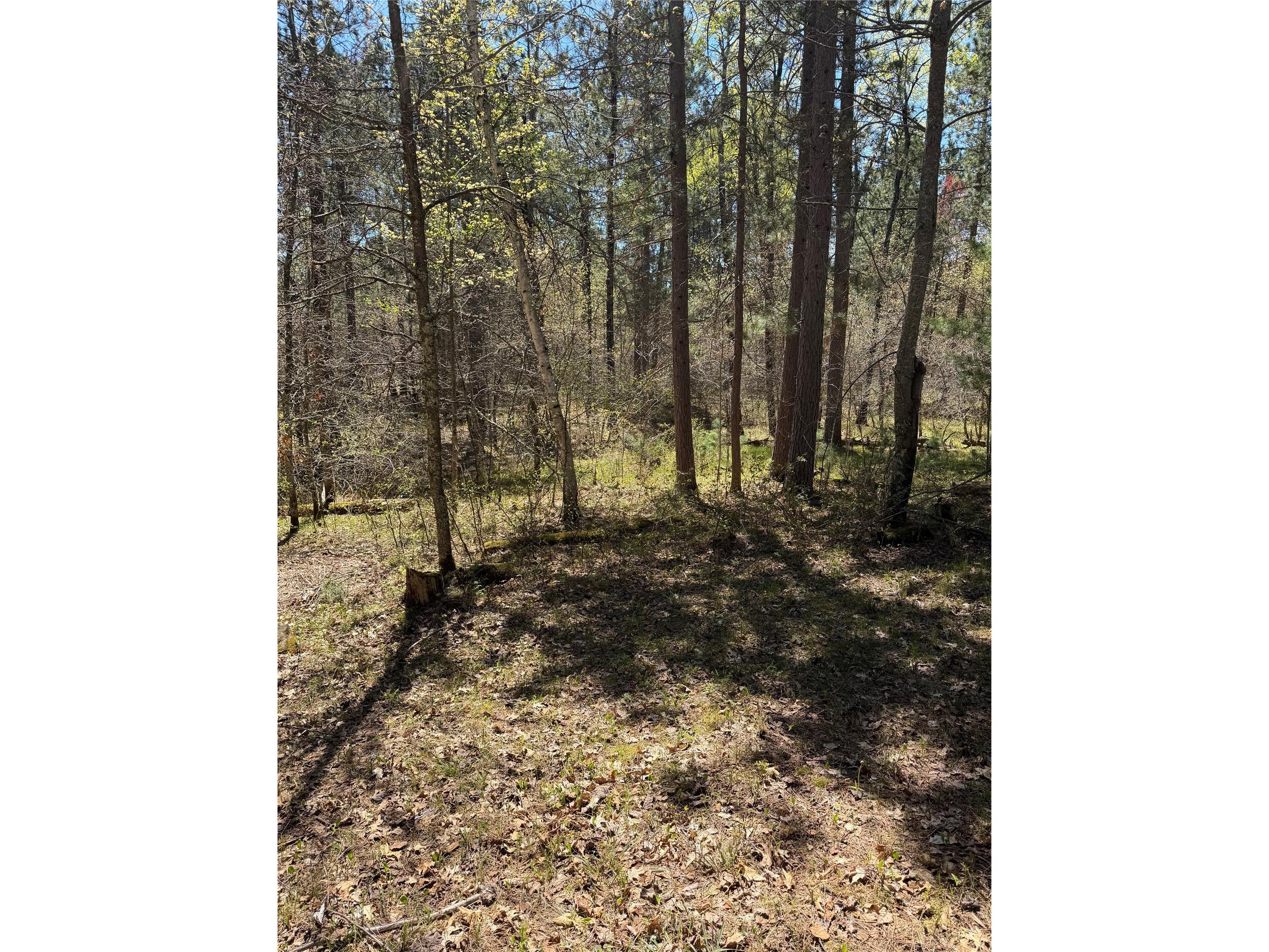 2395 Island Lake Road Barnes WI 54873 1601454 image15