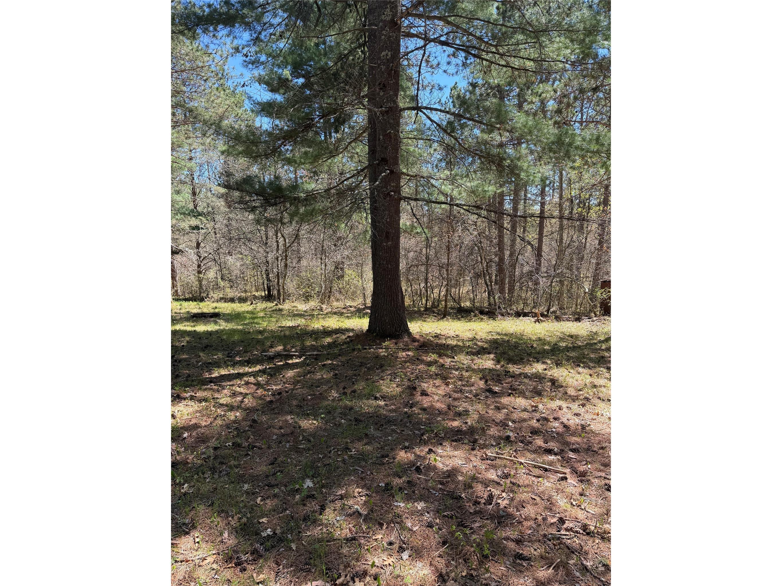 2395 Island Lake Road Barnes WI 54873 1601454 image9