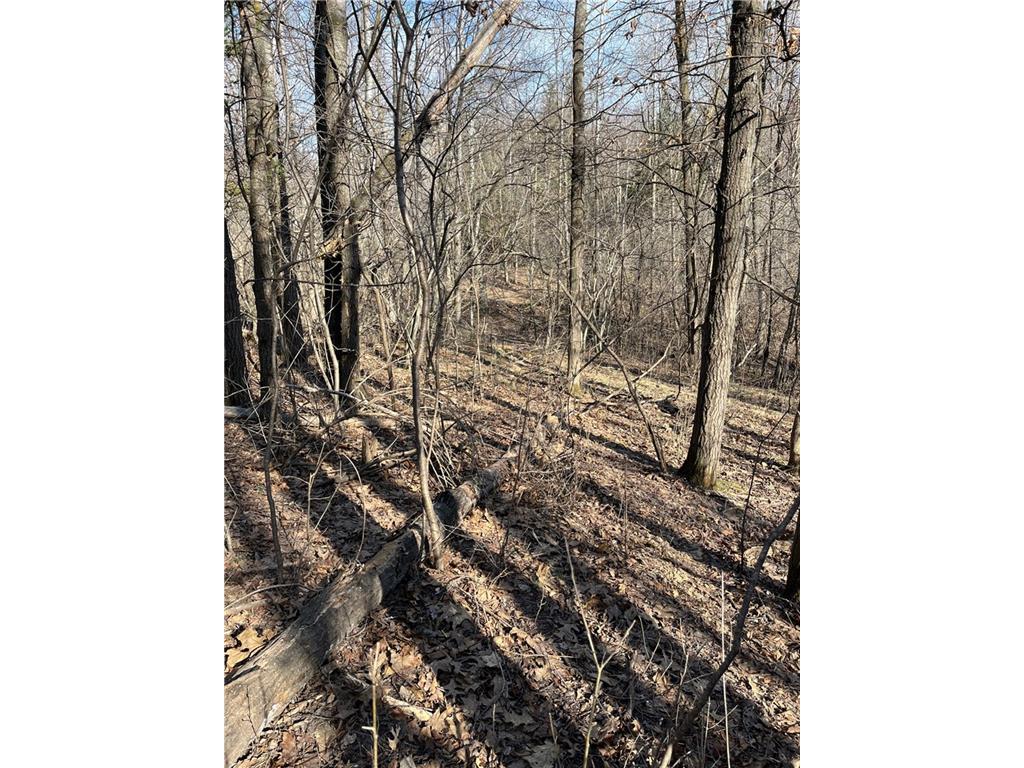 2412 145th Street Luck WI 54853 1580412 image1