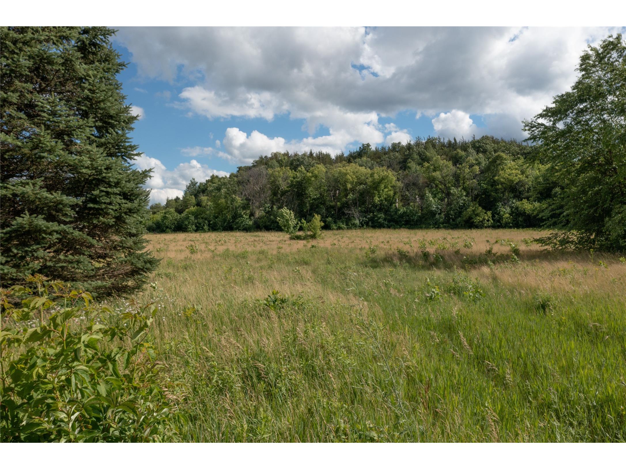 242 County Road Ss River Falls WI 54022 1602565 image6