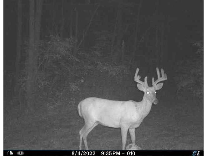 2424 12 3/4 Avenue Cameron WI 54822 - Pokegema 1592314 image40