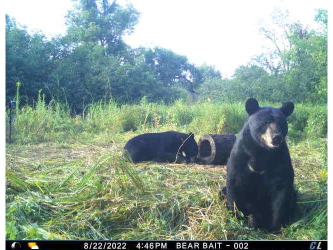 2424 12 3/4 Avenue Cameron WI 54822 - Pokegema 1592314 image41