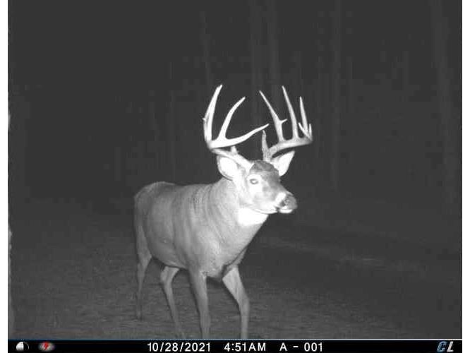 2424 12 3/4 Avenue Cameron WI 54822 - Pokegema 1592314 image42