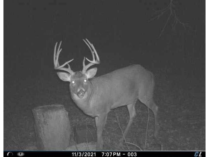 2424 12 3/4 Avenue Cameron WI 54822 - Pokegema 1592314 image43