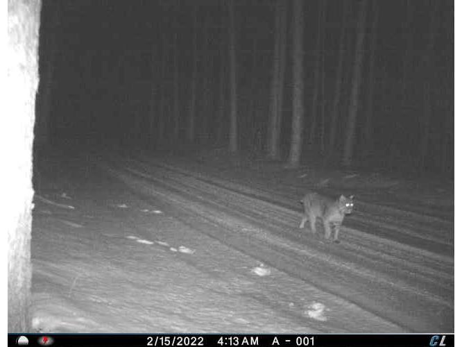 2424 12 3/4 Avenue Cameron WI 54822 - Pokegema 1592314 image44