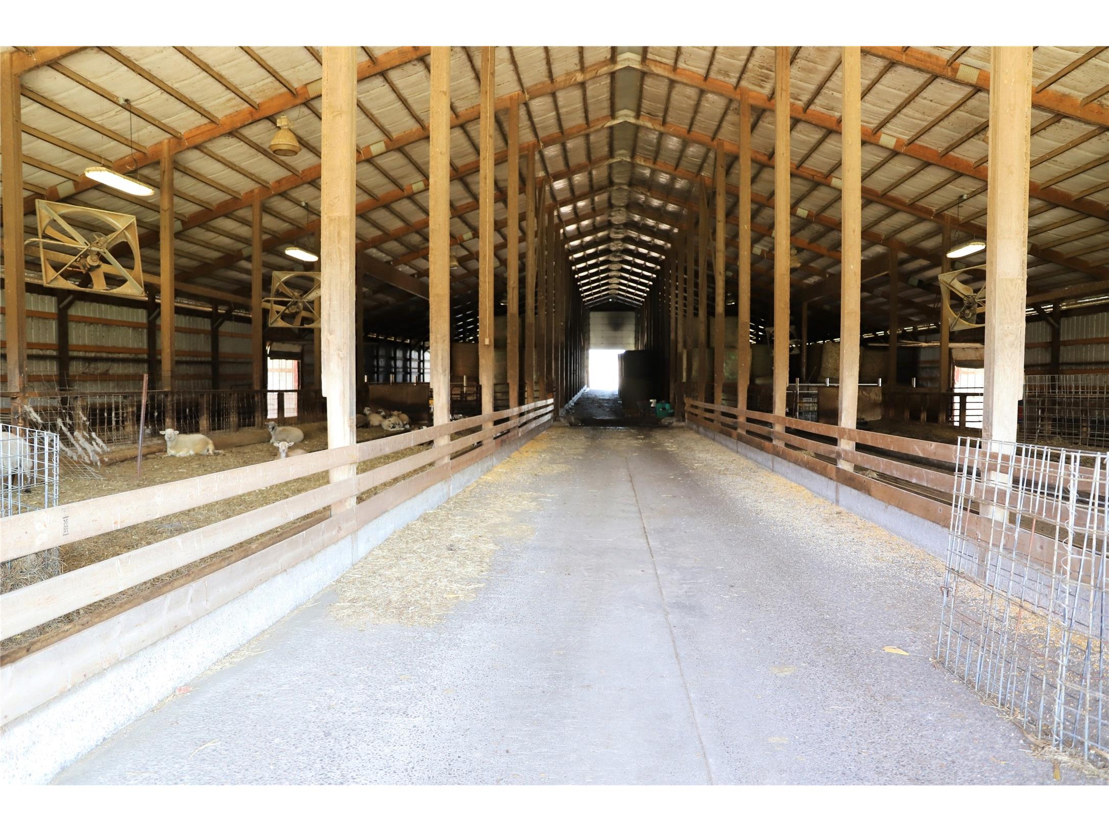 2435 50th Avenue Elk Mound WI 54739 - Elk Creek 1601899 image32