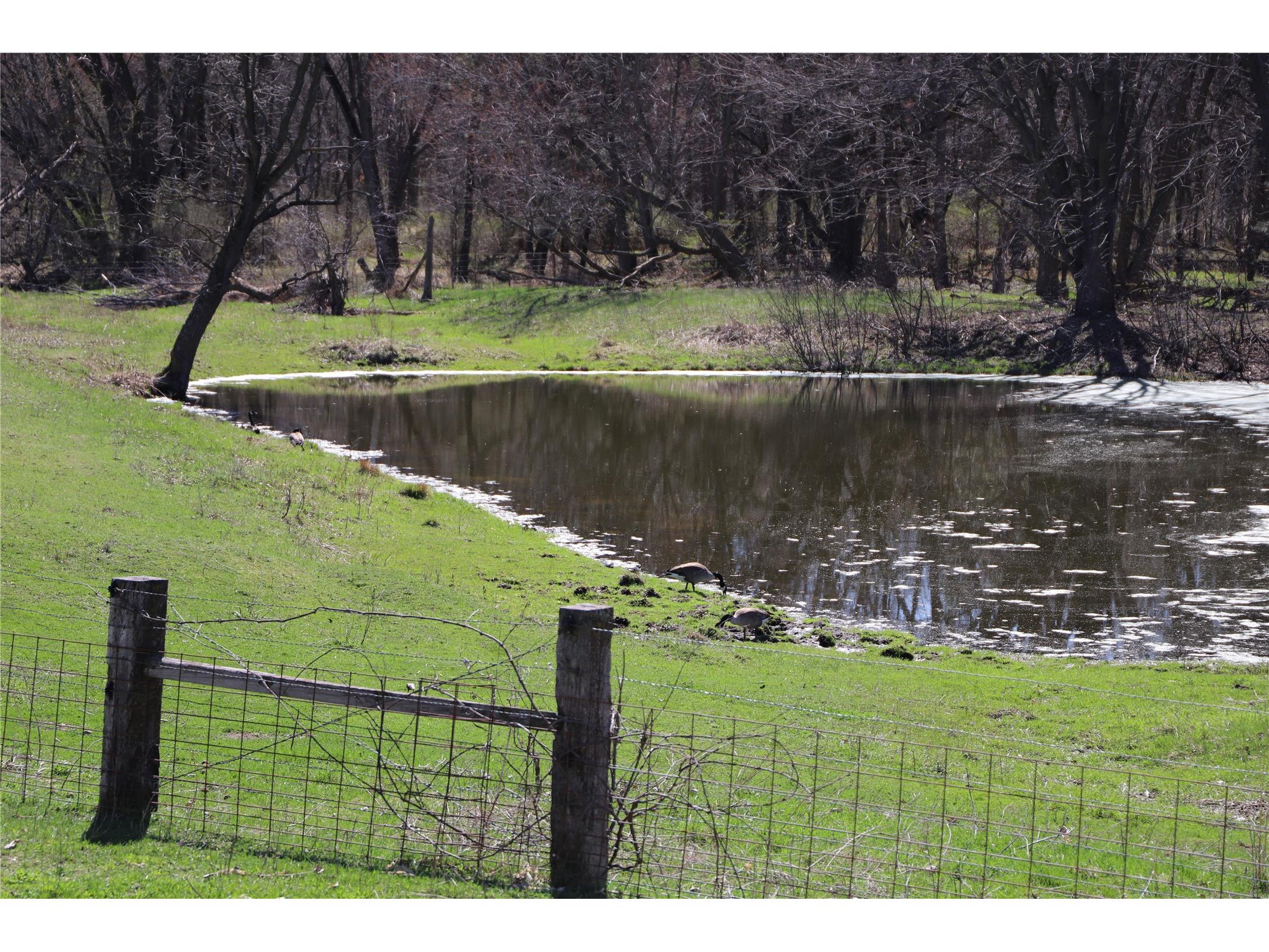2435 50th Avenue Elk Mound WI 54739 - Elk Creek 1601899 image53