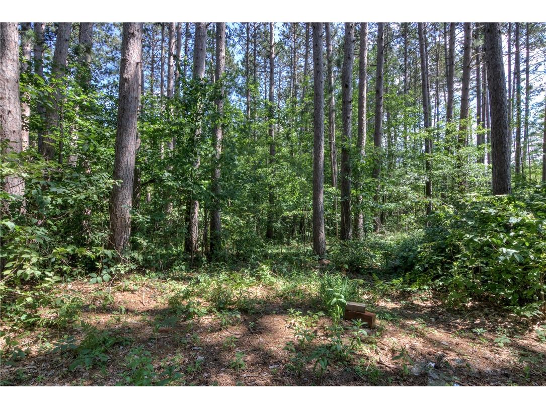 2440 Spruce Road Webster WI 54893 1594877 image45