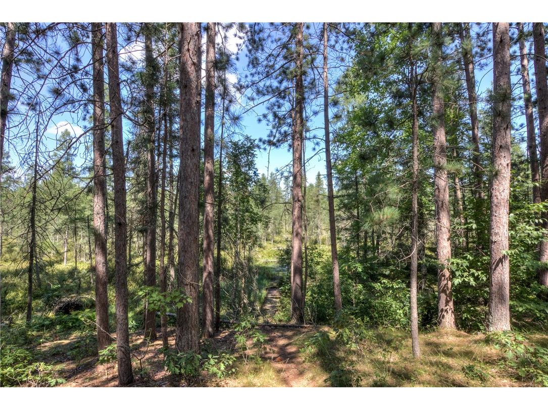 2440 Spruce Road Webster WI 54893 1594877 image46