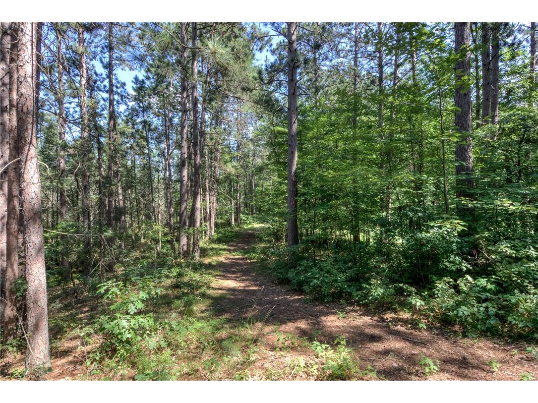 2440 Spruce Road Webster WI 54893 1594877 image47