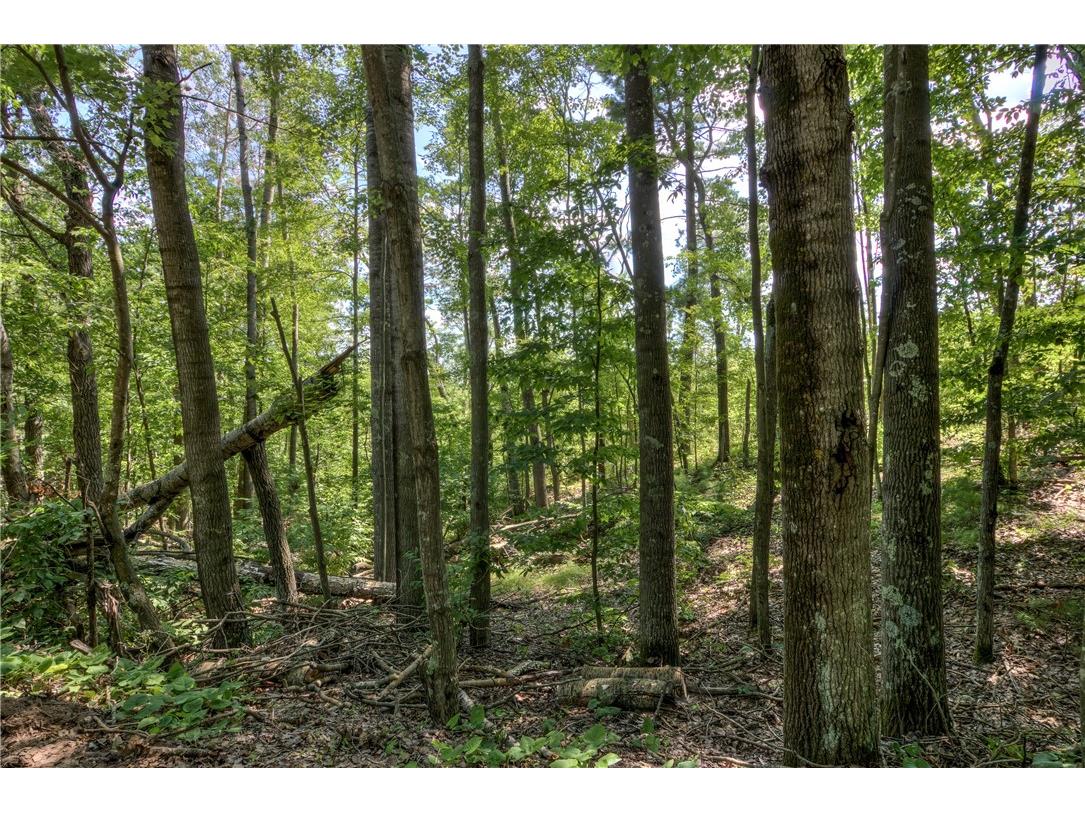 2440 Spruce Road Webster WI 54893 1594877 image50