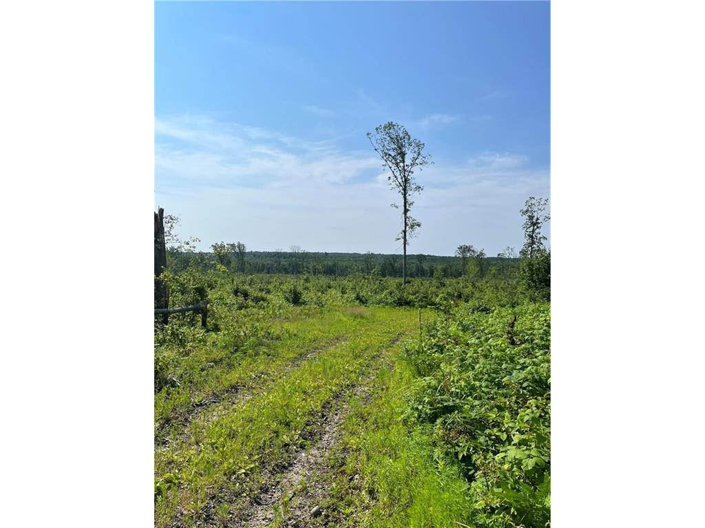 24405 E Stoney Lonesome Road Boyd WI 54726 1583773 image1