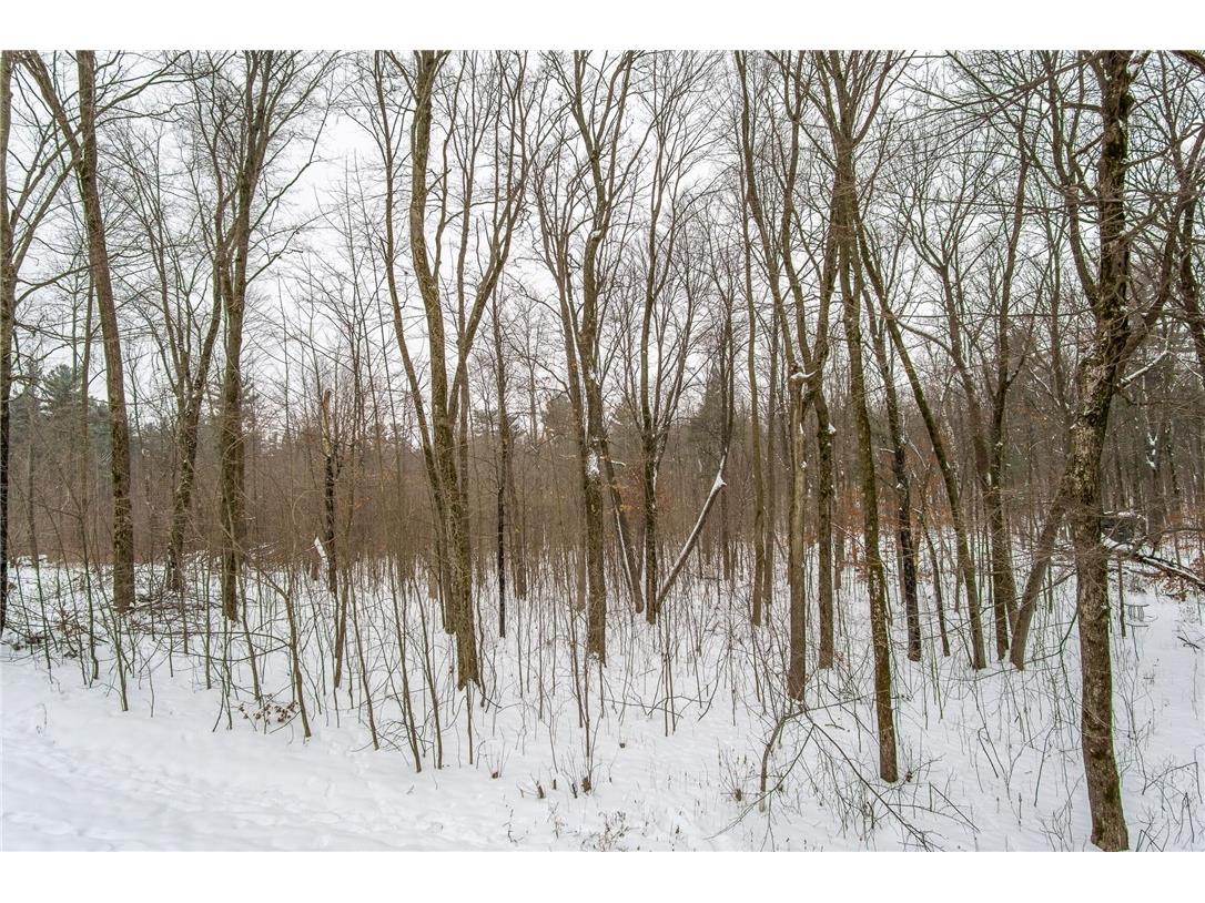 2447 50th Avenue Woodville WI 54028 1597282 image11