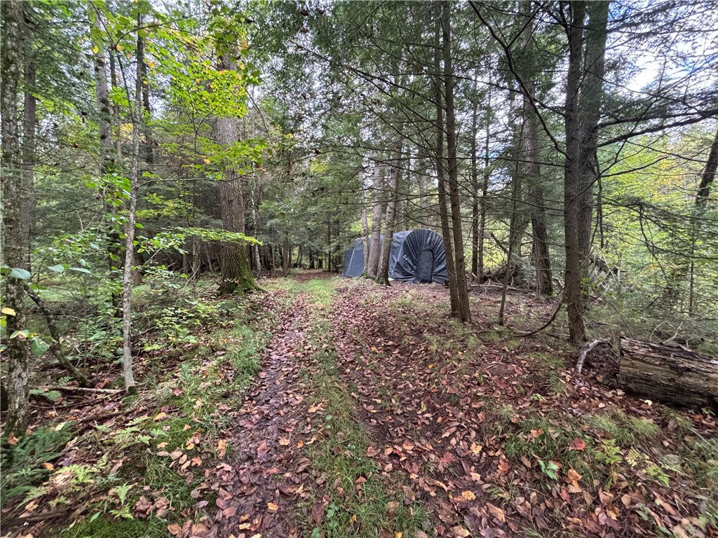 24514 State Highway 178 Cornell WI 54732 - Chippewa 1595626 image12