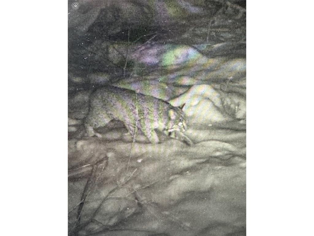 24514 State Highway 178 Cornell WI 54732 - Chippewa 1595626 image48