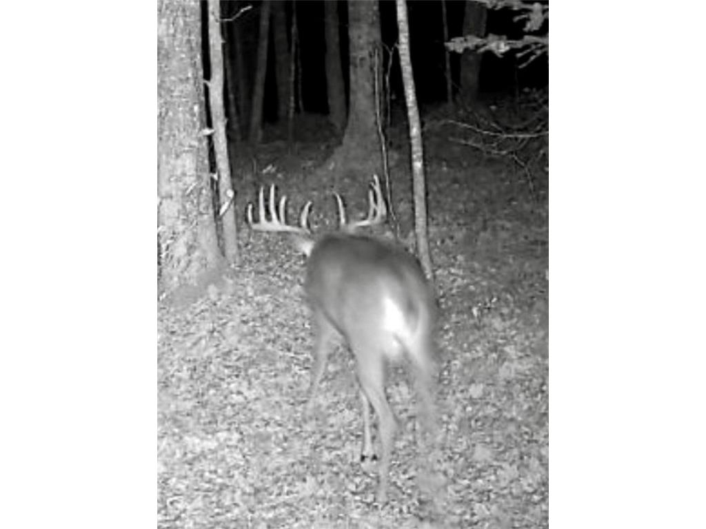 24514 State Highway 178 Cornell WI 54732 - Chippewa 1595626 image49