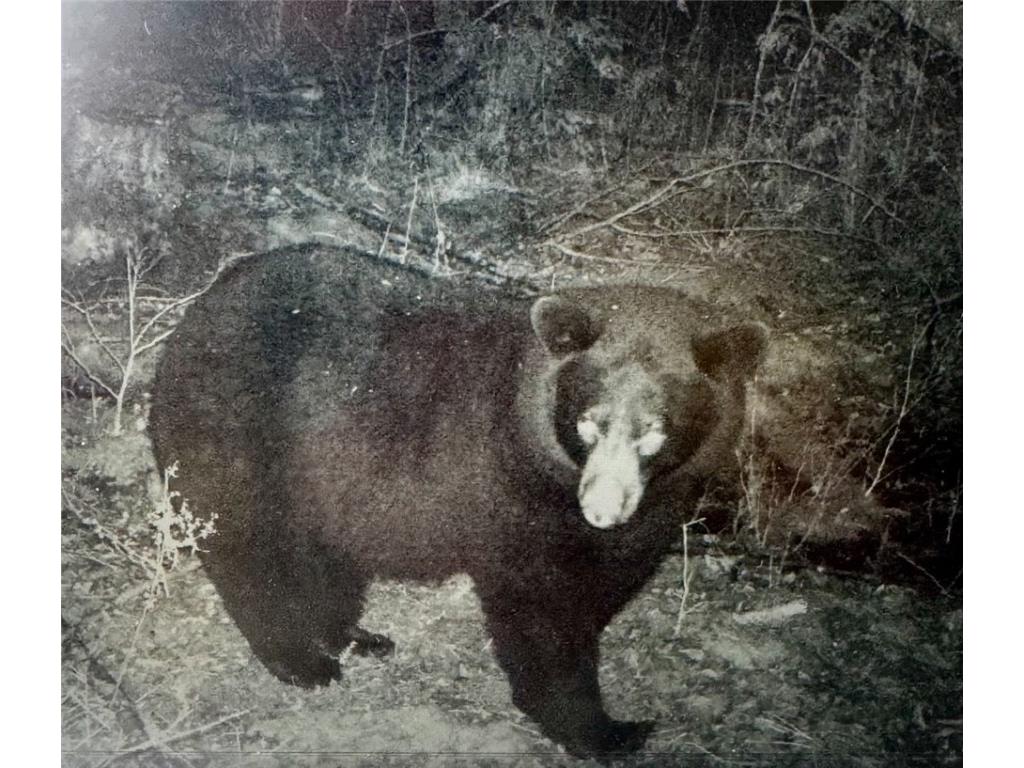 24514 State Highway 178 Cornell WI 54732 - Chippewa 1595626 image50