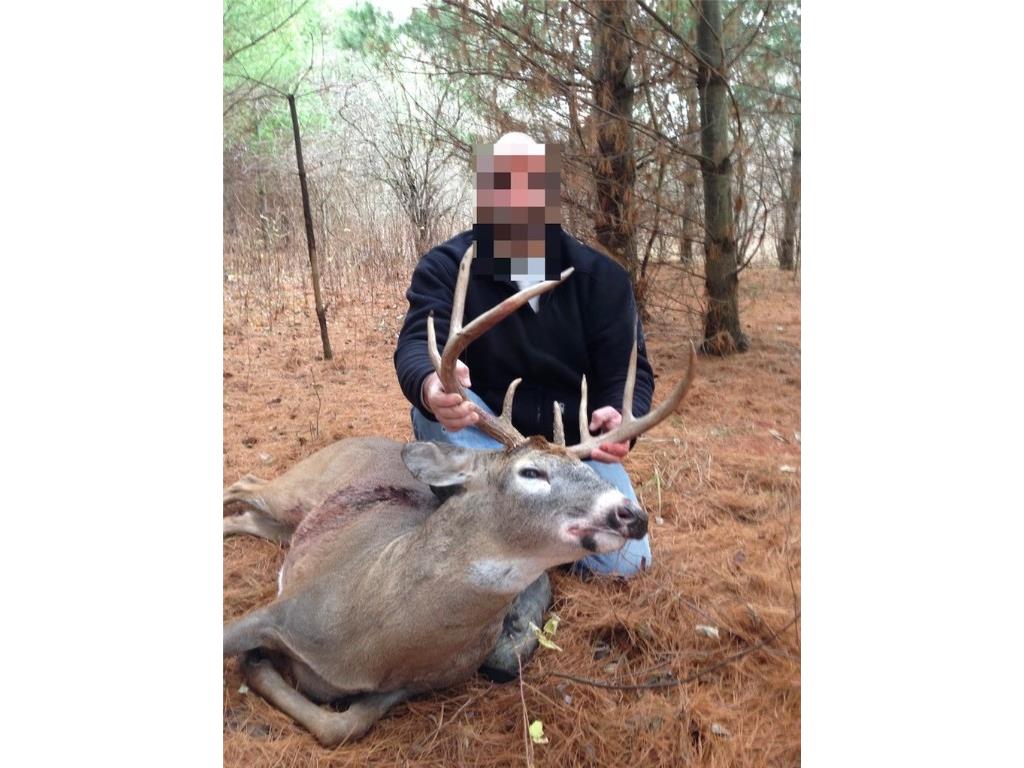 24514 State Highway 178 Cornell WI 54732 - Chippewa 1595626 image7