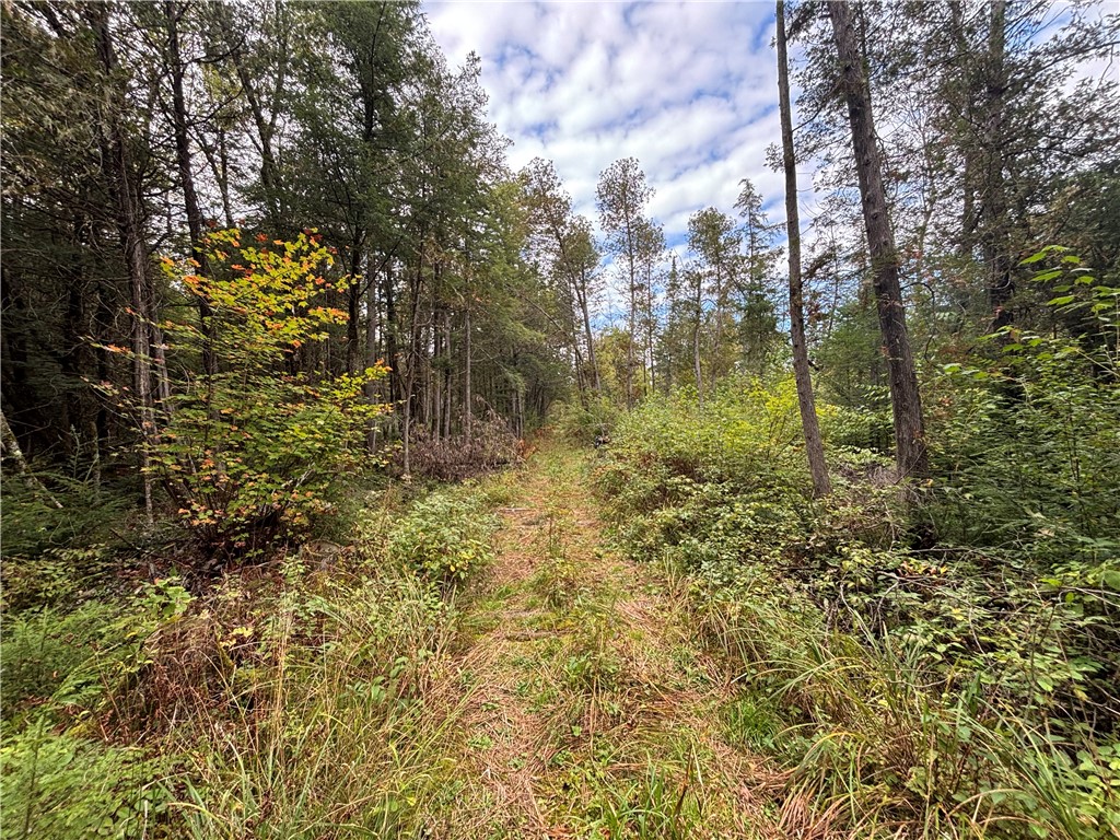 24514 State Highway 178 Cornell WI 54732 - Chippewa 1595626 image8