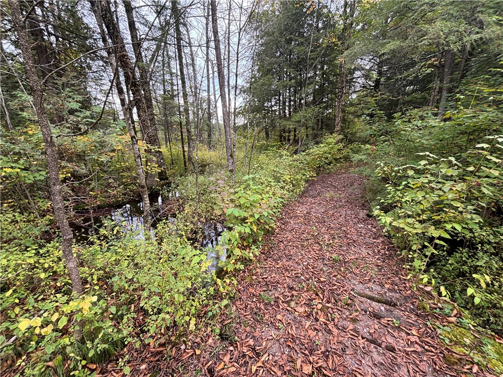 24514 State Highway 178 Cornell WI 54732 - Chippewa 1595626 image9