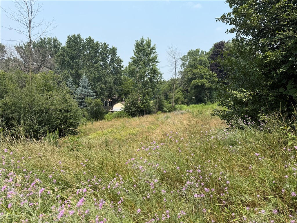 2452 Jackson Street Eau Claire WI 54703 1593765 image1