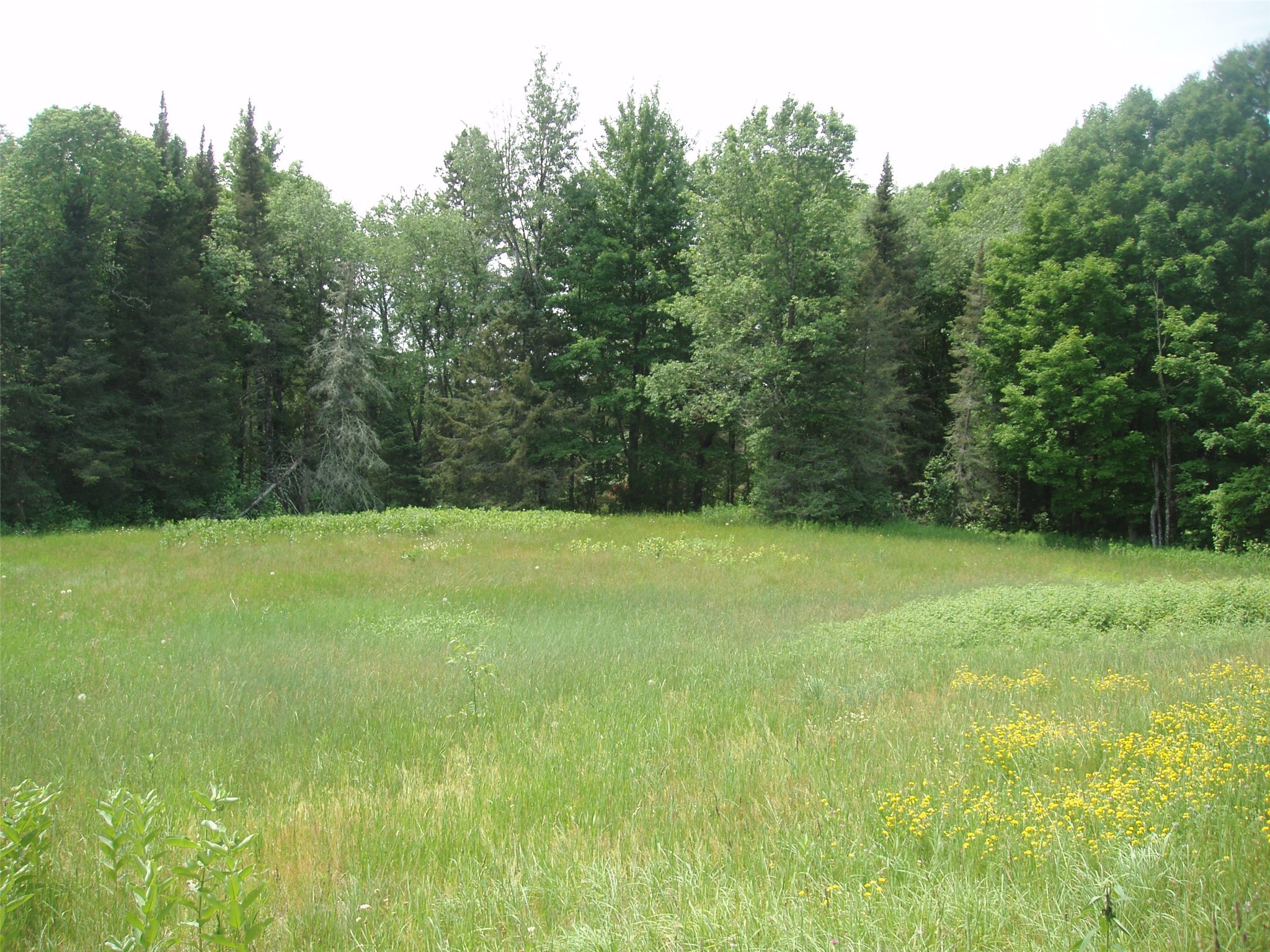 2460N County Highway Ff Butternut WI 54514 1602950 image22