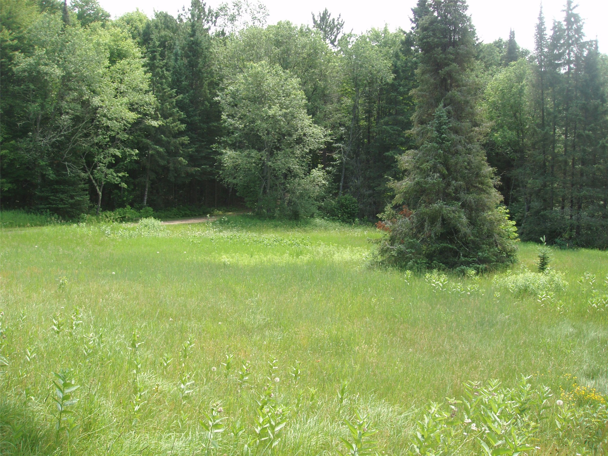 2460N County Highway Ff Butternut WI 54514 1602950 image23