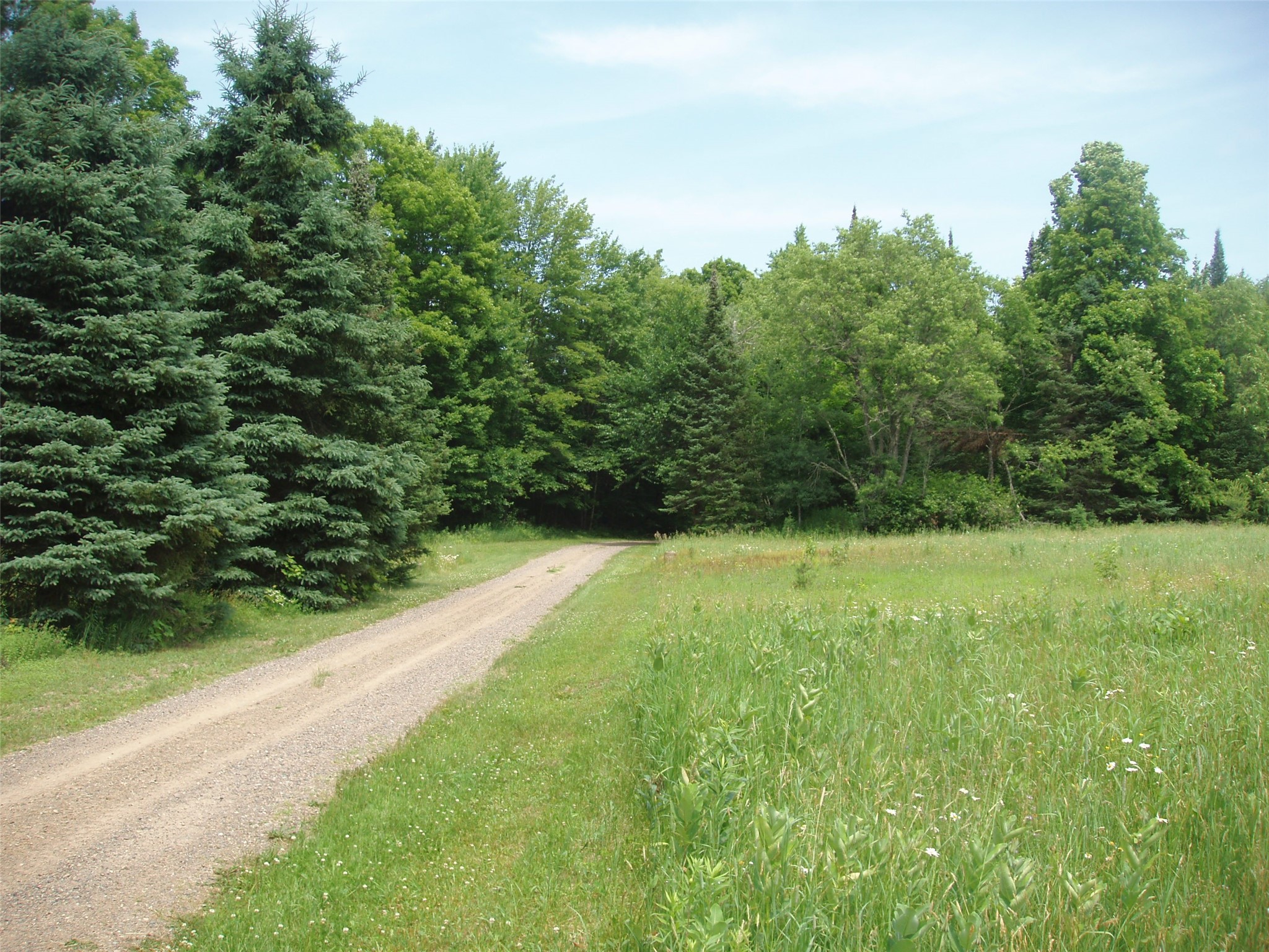 2460N County Highway Ff Butternut WI 54514 1602950 image25
